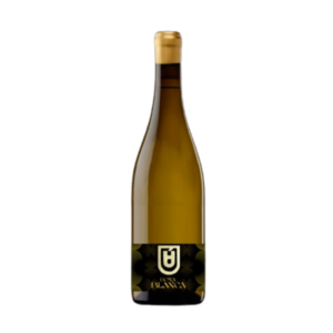 Vino único para regalar de Asturias y León vendimiado a mano